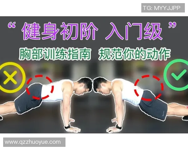 全面提升体能与健康的健身计划，从基础训练到进阶技巧全攻略